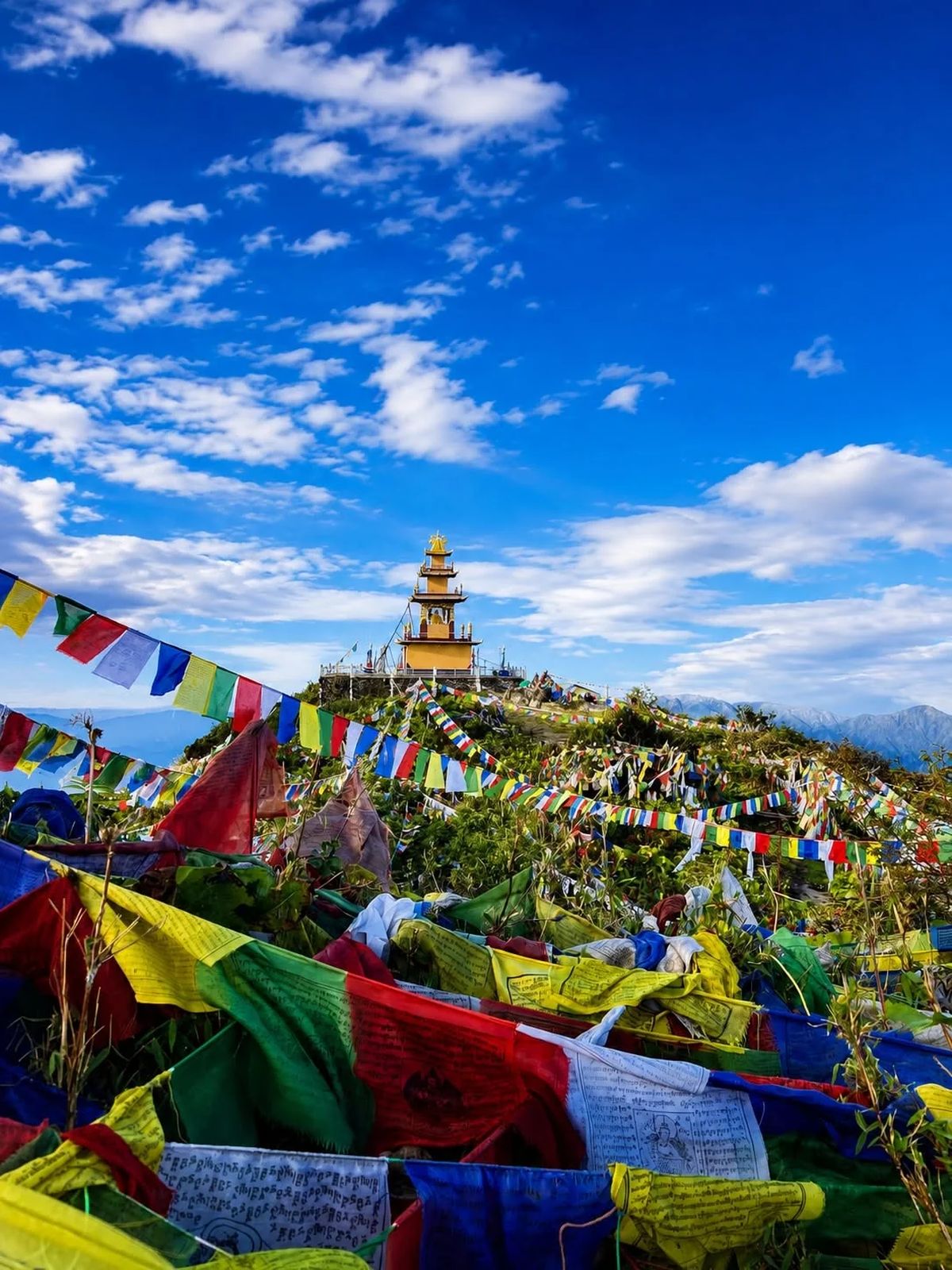 Ama Yangri Trek 2026 / 2027 : Complete Guide, Itinerary, Cost & Travel Tips
