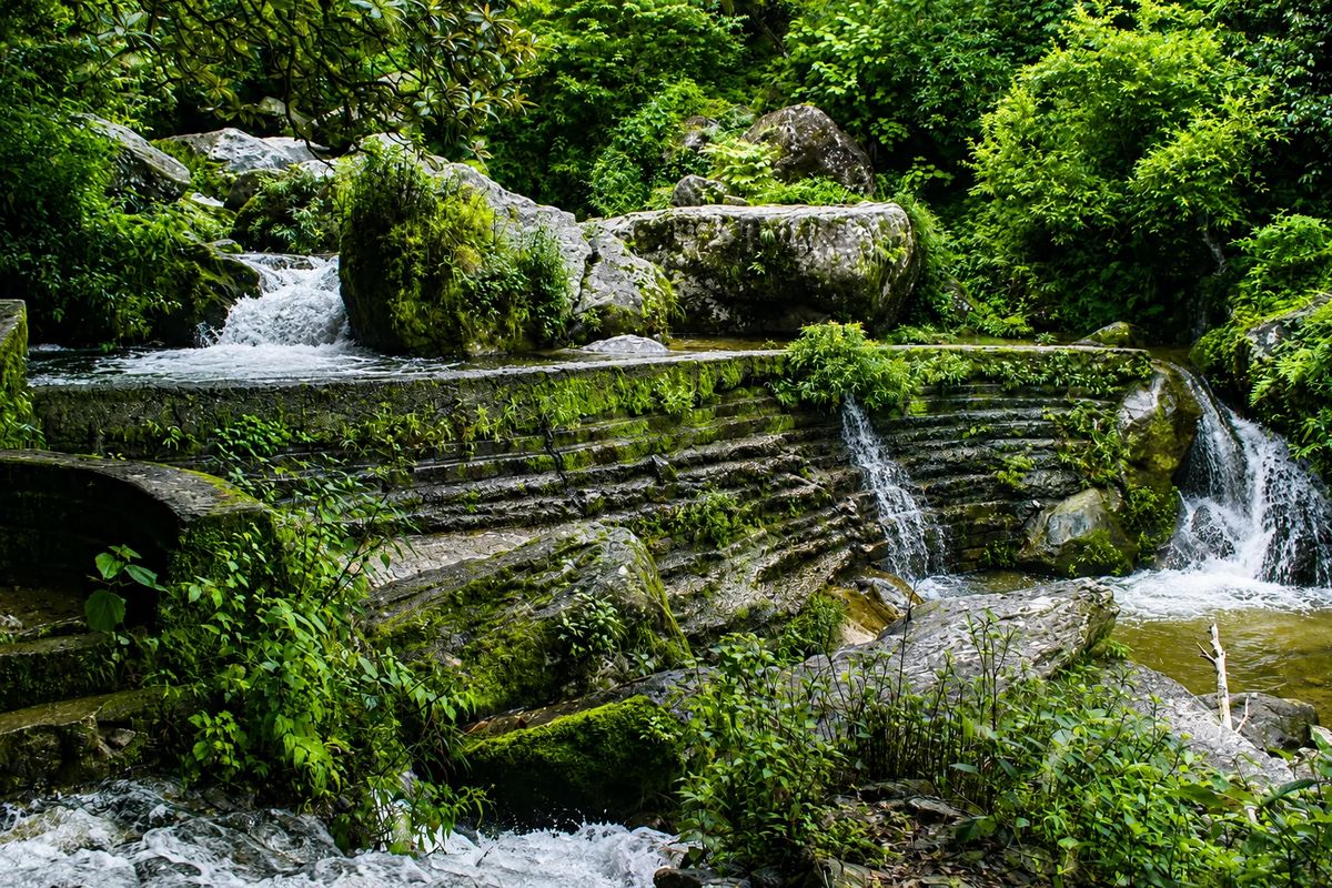 Into the Forest: A Full Day on the Shivapuri Nagarjun Trail
