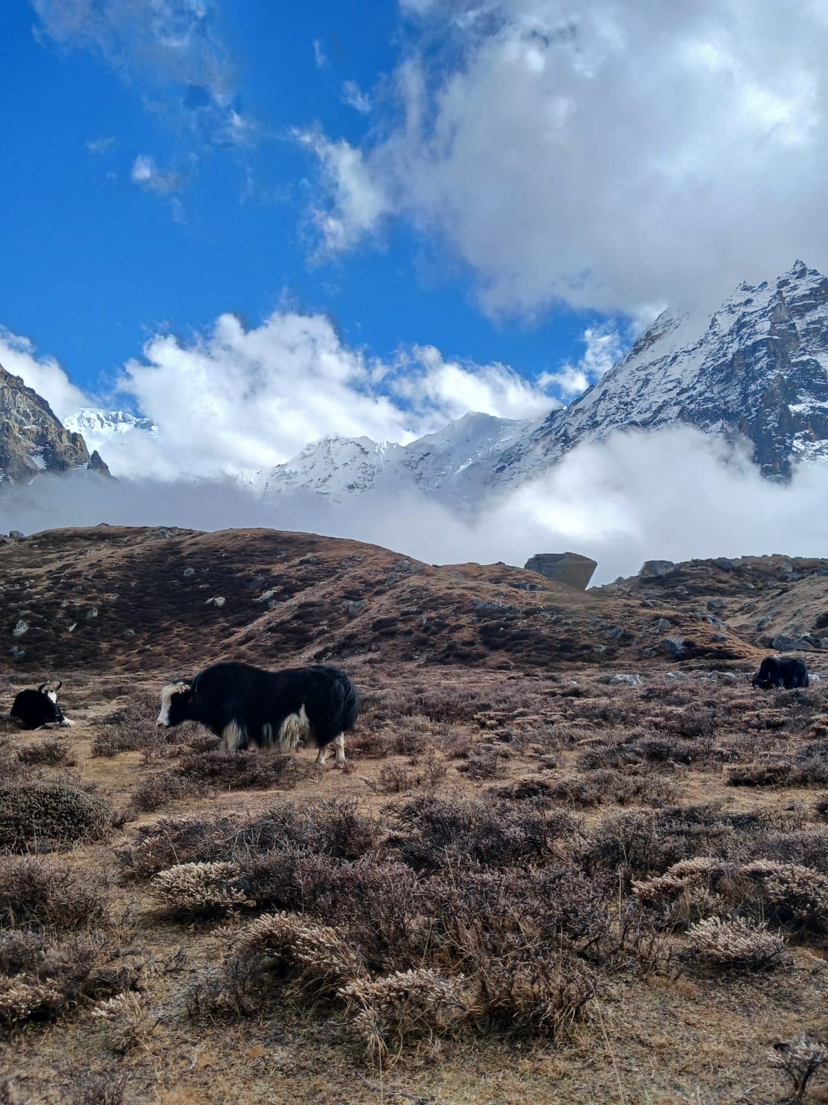 Nepal Adventure Guide for Travelers