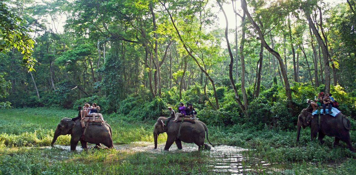 Explore Nepal Tour(KTM,Pokhara,Chitwan,Nagarkot)