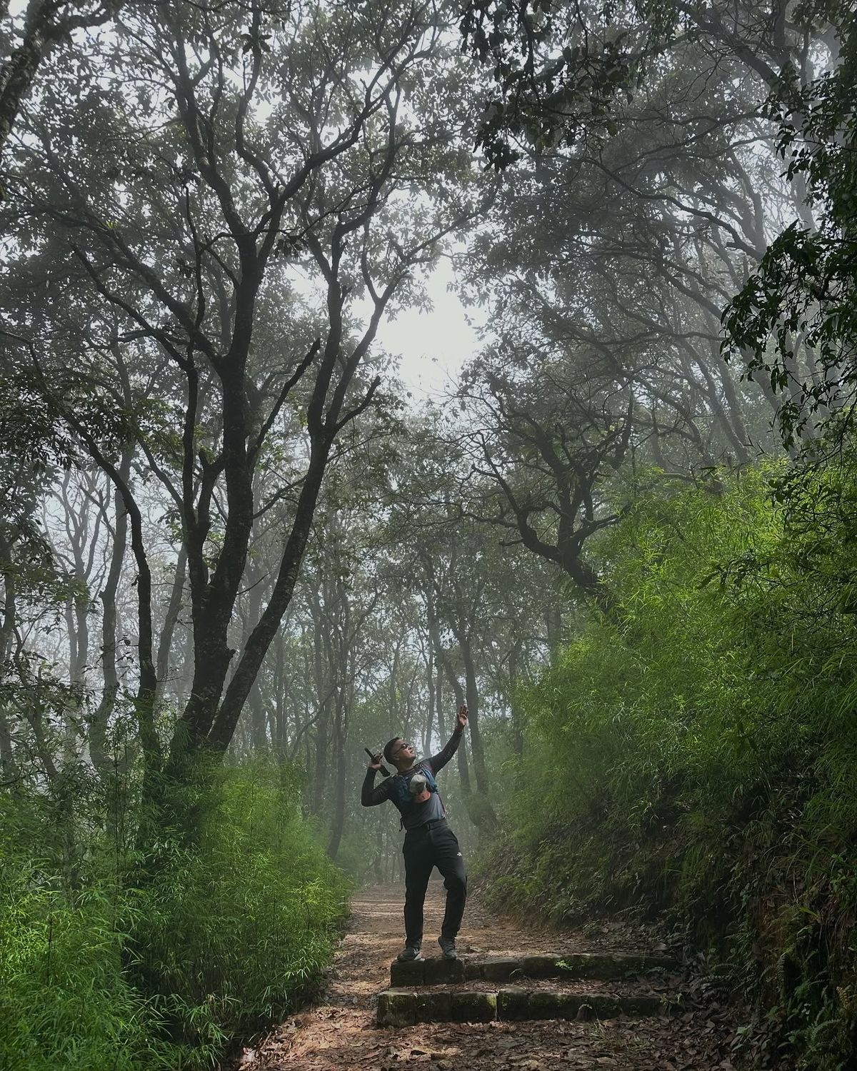 Shivapuri National Park Photography & Bird Watching Tour