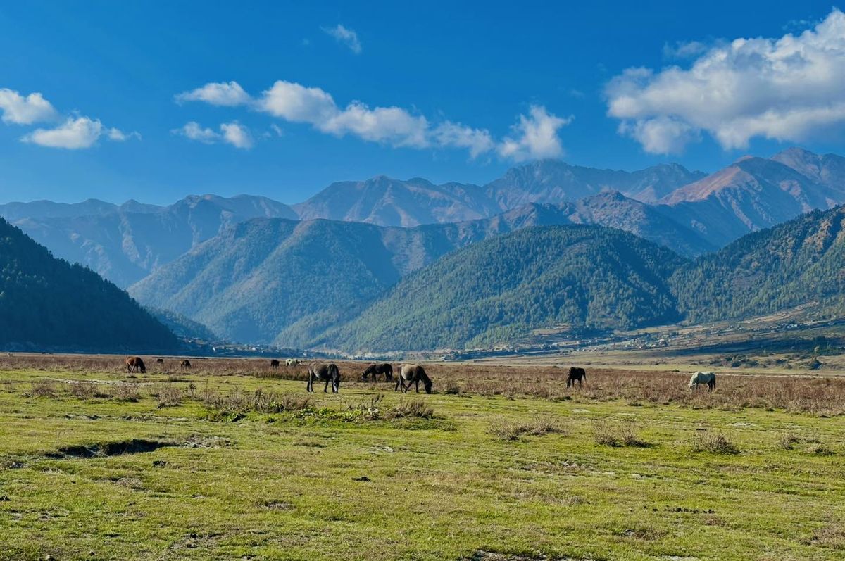 Dhorpatan Motorbike Tour: Explore Nepal's Ultimate Off-Road Adventure