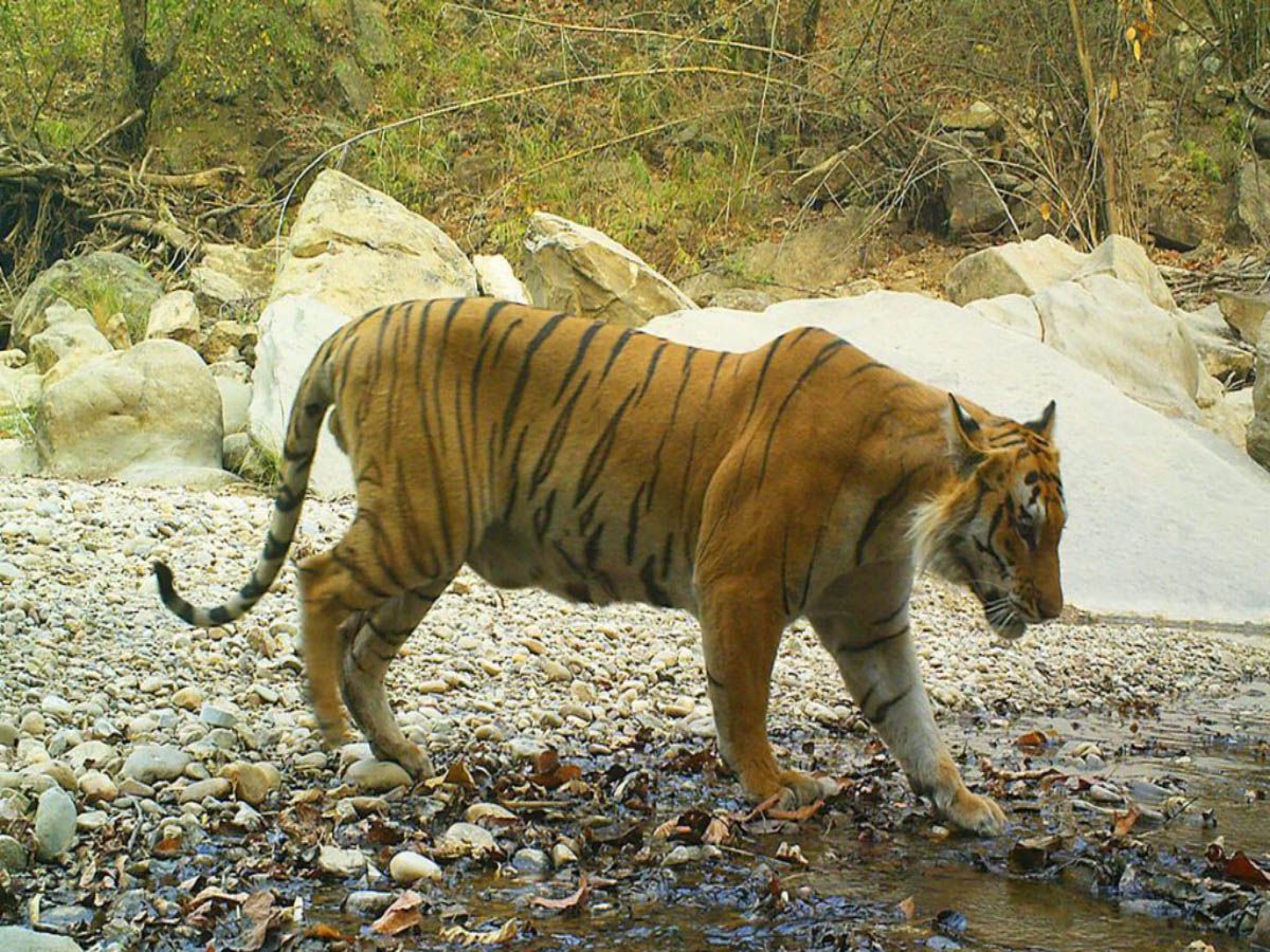 Explore Nepal's Hotspot Destinations: A Journey Through Nepal's Most Iconic Attractions