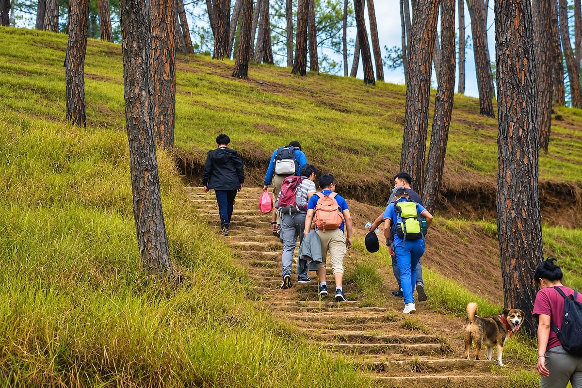 Champadevi to Chandragiri Hike: Scenic Ridge Trail Near Kathmandu