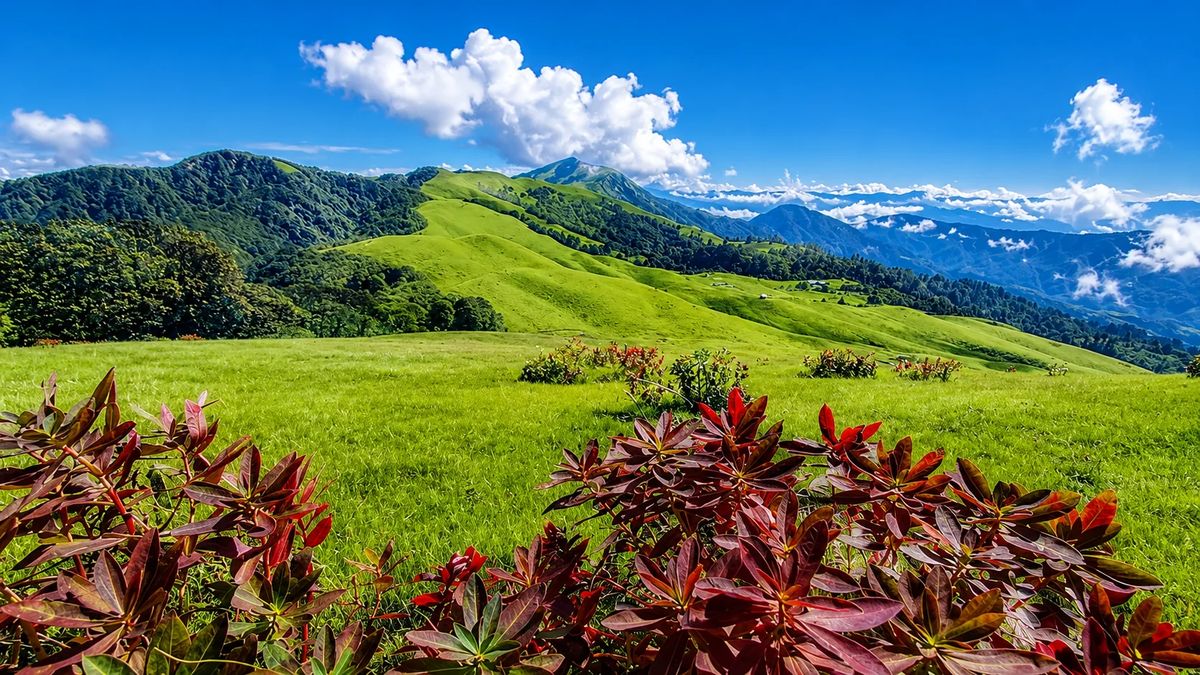 Mundum Trail Trek: A Journey Through the Hidden Himalayas of Eastern Nepal photo 3