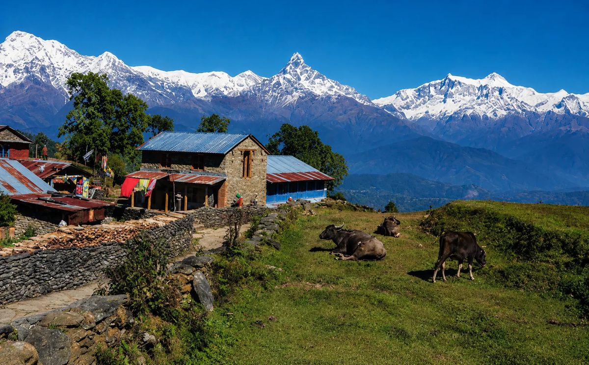 Panchase Hill Eco Hike: 5-Day Himalayan Nature Adventure
