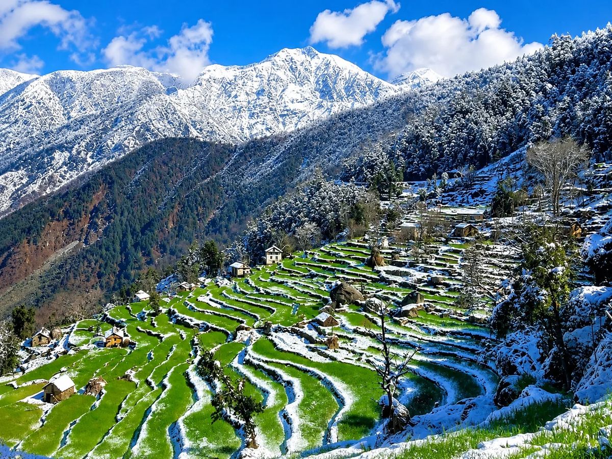 Ramaroshan Trek: Into the Wild Beauty of Far West Nepal