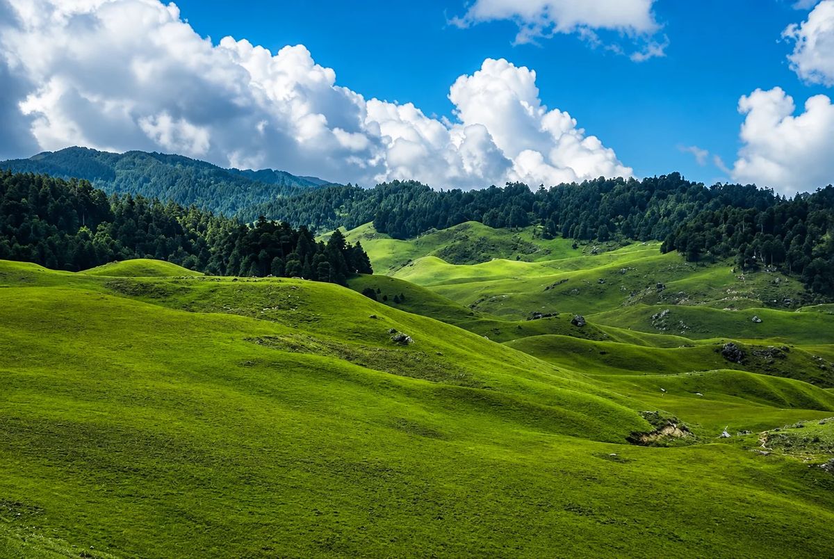 Ramaroshan Trek: Into the Wild Beauty of Far West Nepal
