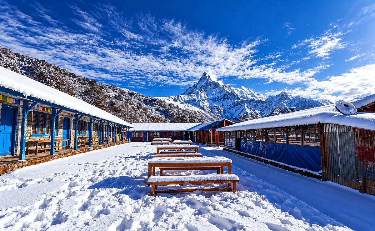 Mardi Himal Base Camp Trek Package 2027 photo 4