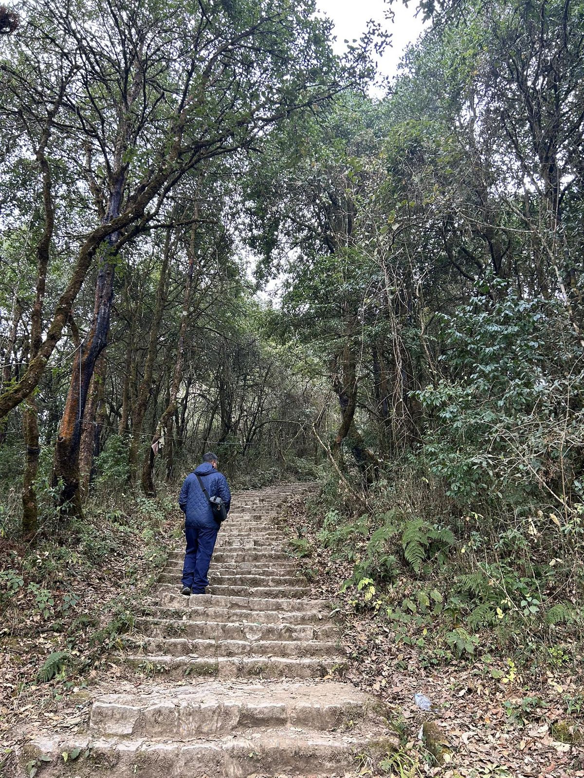 Chandragiri Cable Car & Champadevi Hike: Experience Scenic Himalayan Views and a Rewarding Nature Trail