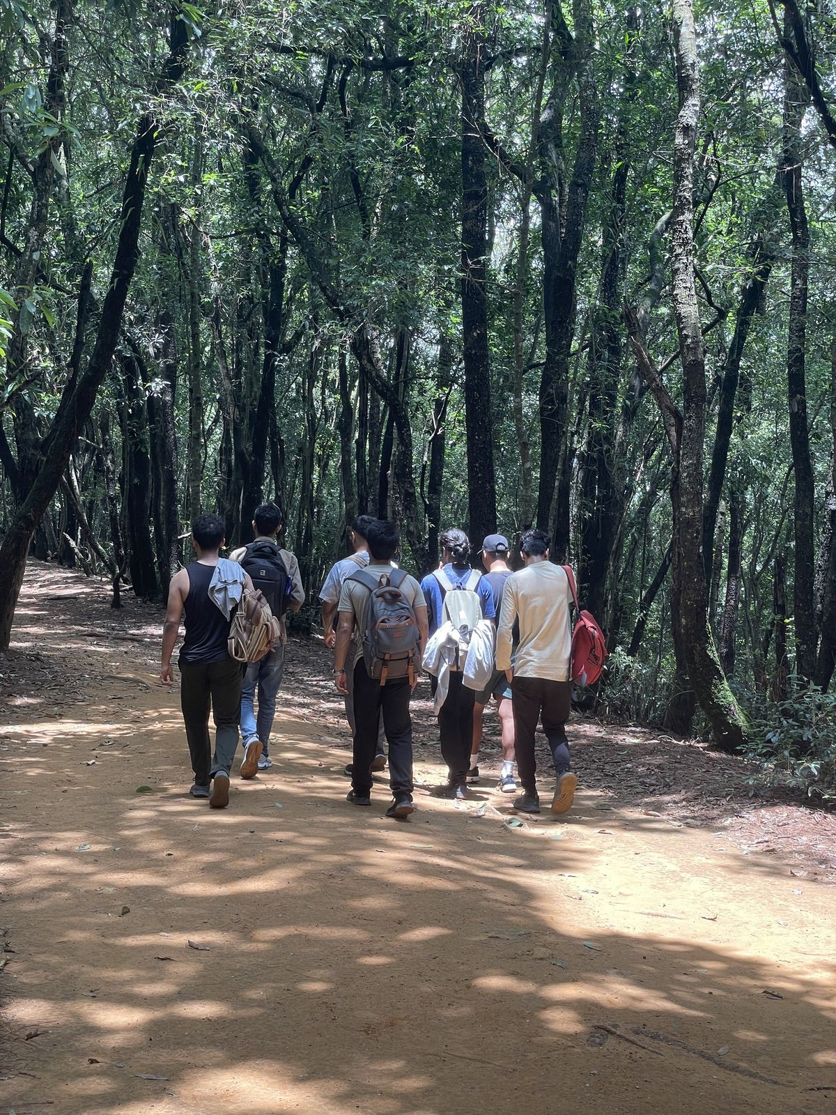 Jamacho Hike: Explore Forest Trails, Monasteries and Panoramic Himalayan Views