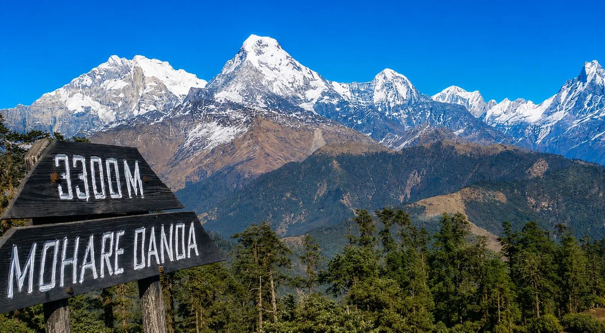 Mohare Khopra Danda Trek: Scenic Himalayan Views & Village Trails