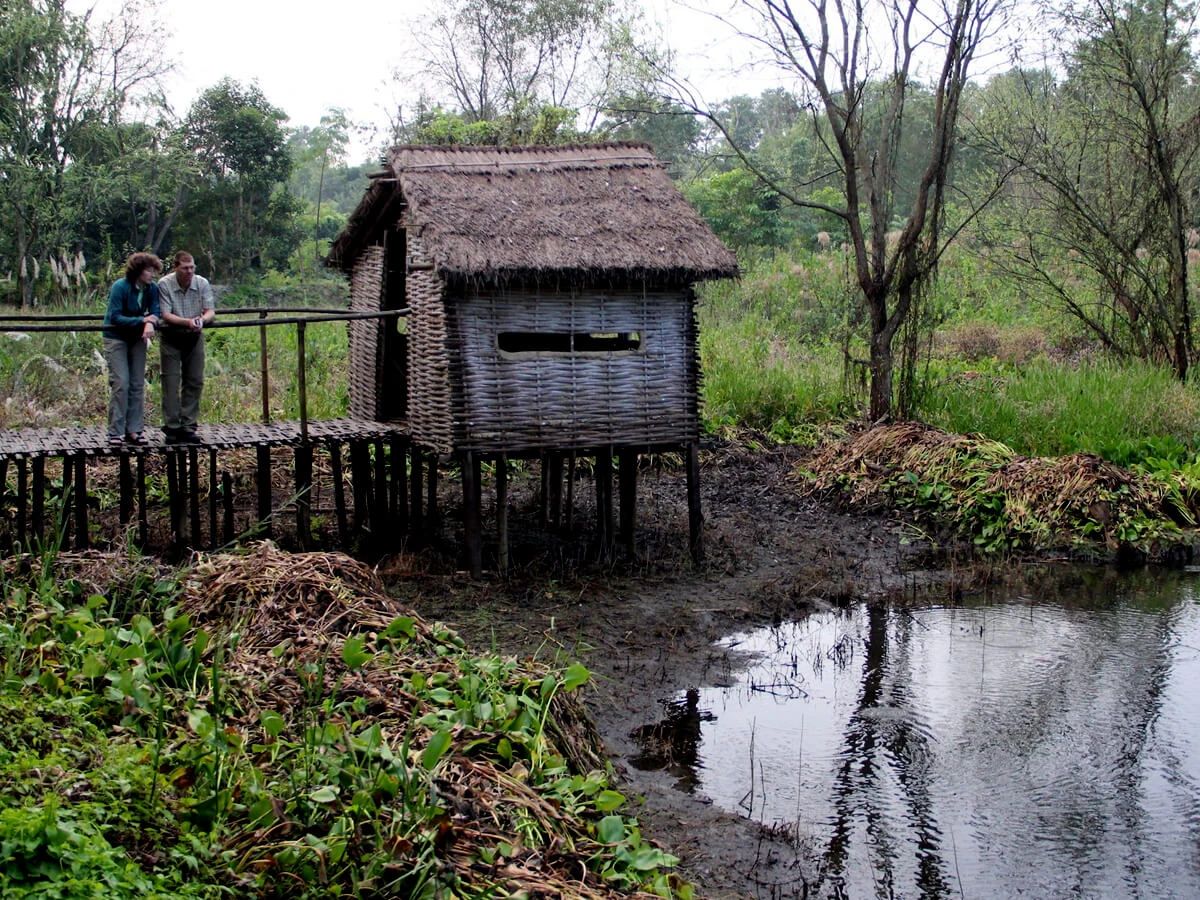 Koshi Tappu Wildlife Safari: Discover Nepal's Premier Wetland, Birdlife and Wildlife Reserve
