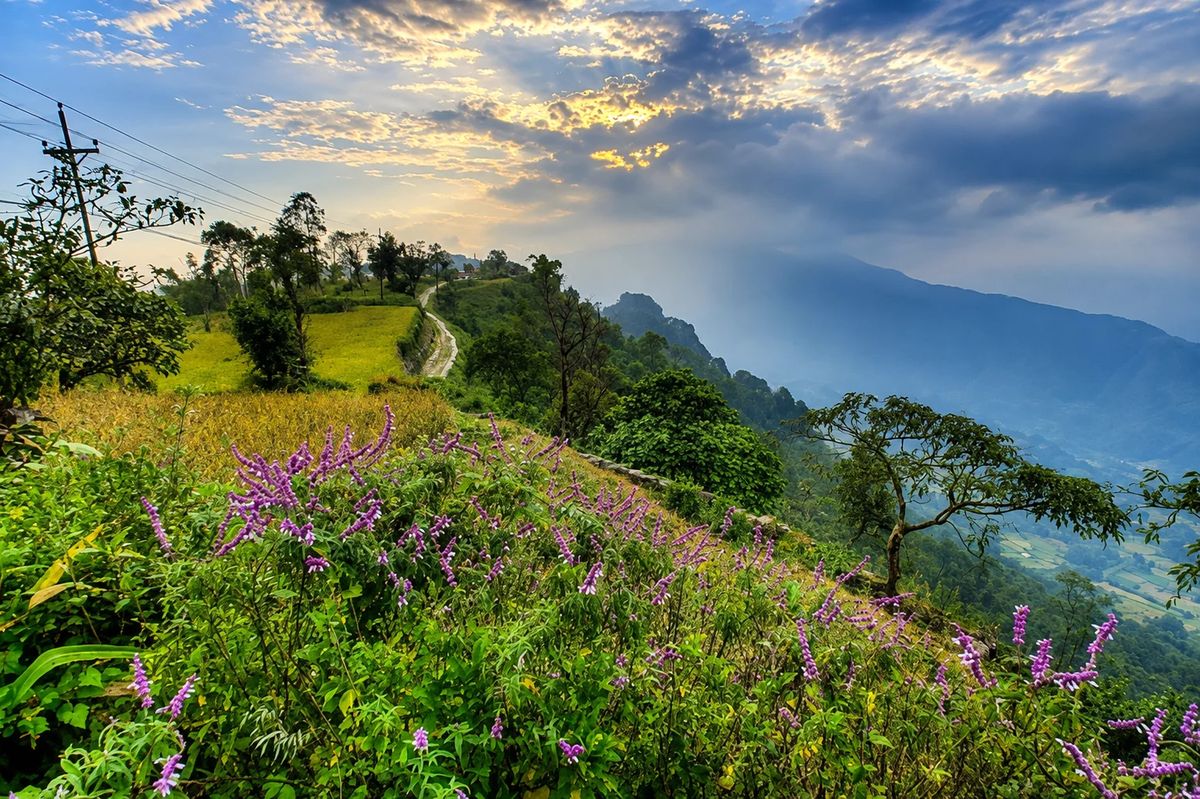 Dhampus Sarangkot Trek - 3 Days Through the Annapurna Foothills photo 2