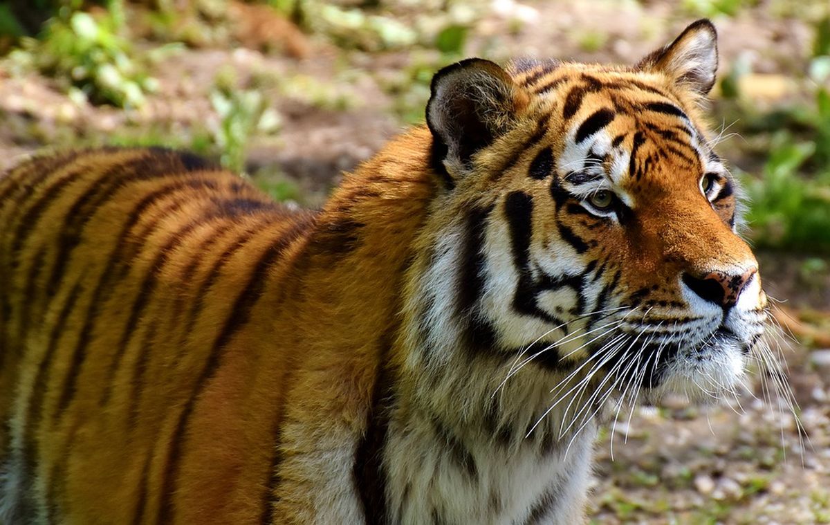 Explore Nepal's Hotspot Destinations: A Journey Through Nepal's Most Iconic Attractions