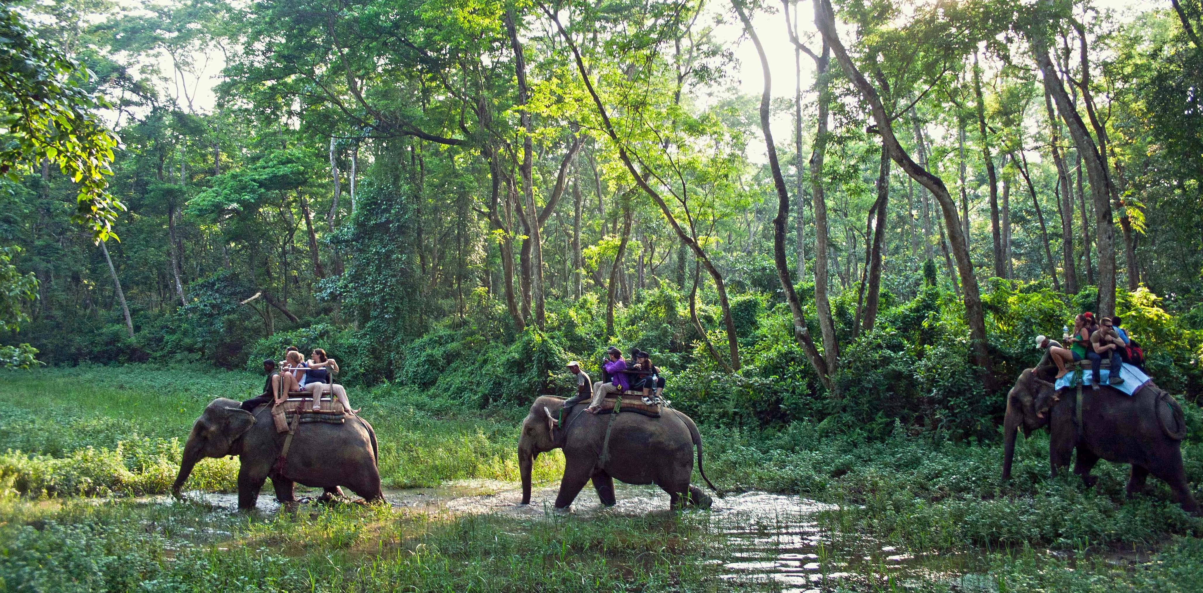 Nature and Wildlife