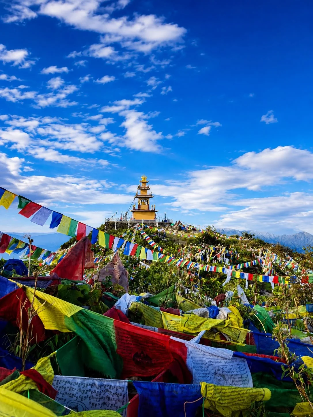 Ama Yangri Trek 2026 / 2027 : Complete Guide, Itinerary, Cost & Travel Tips