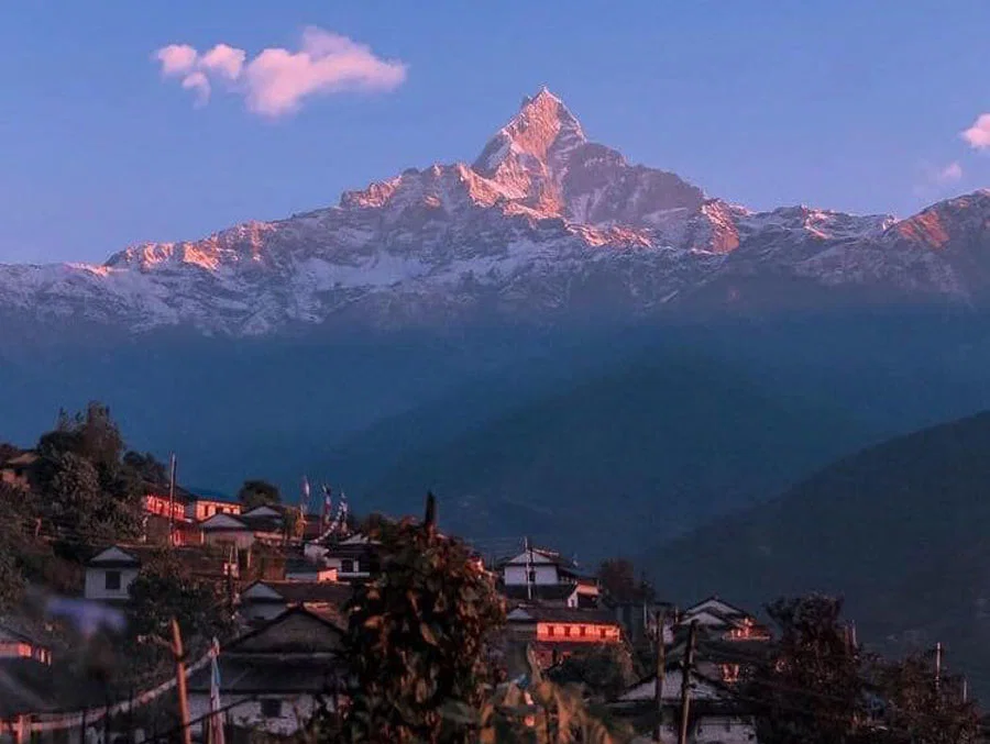 Lwang Village Nepal: Complete Travel Guide to Nepal's Tea Garden Paradise
