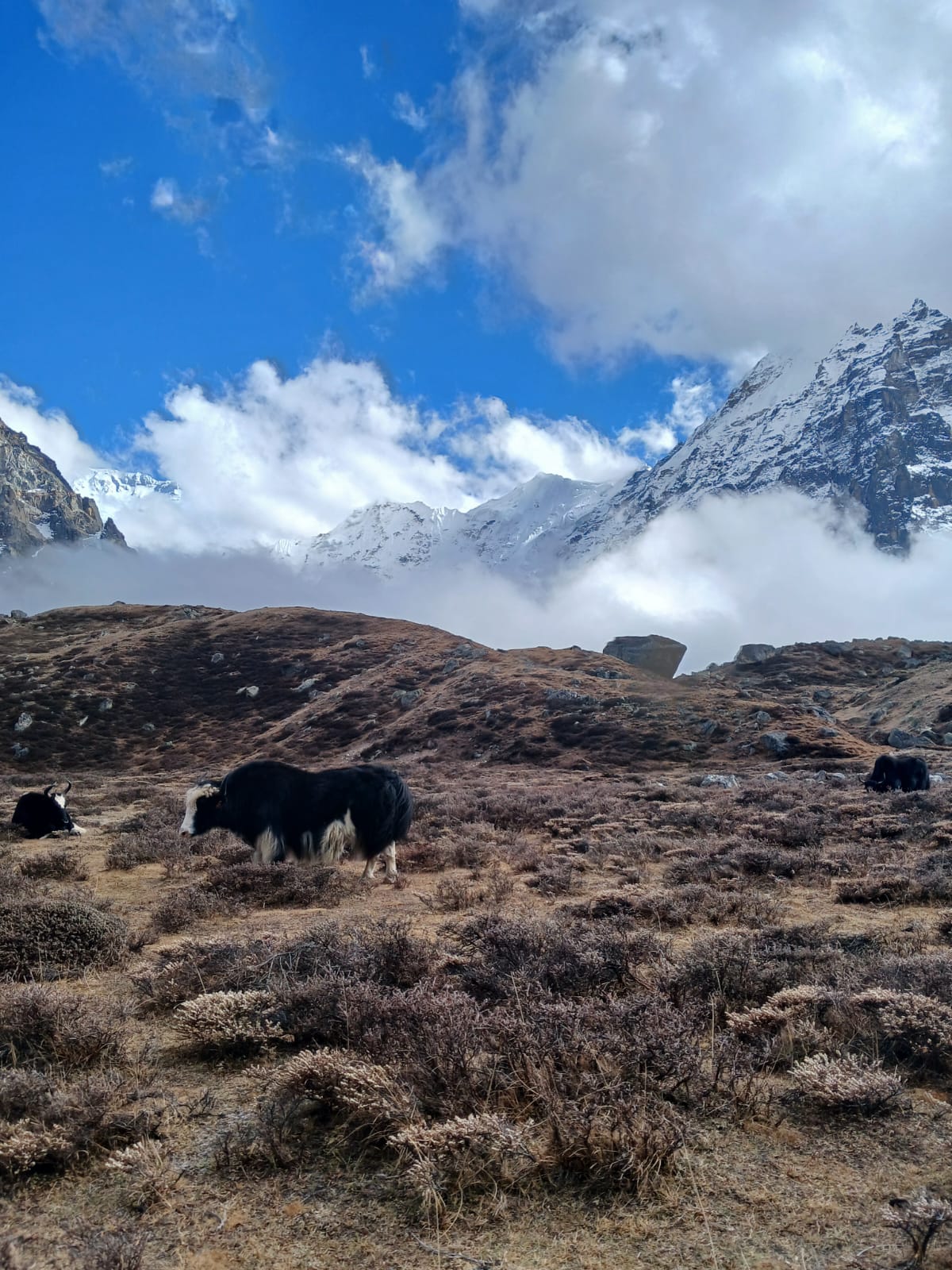 Nepal Adventure Guide for Travelers