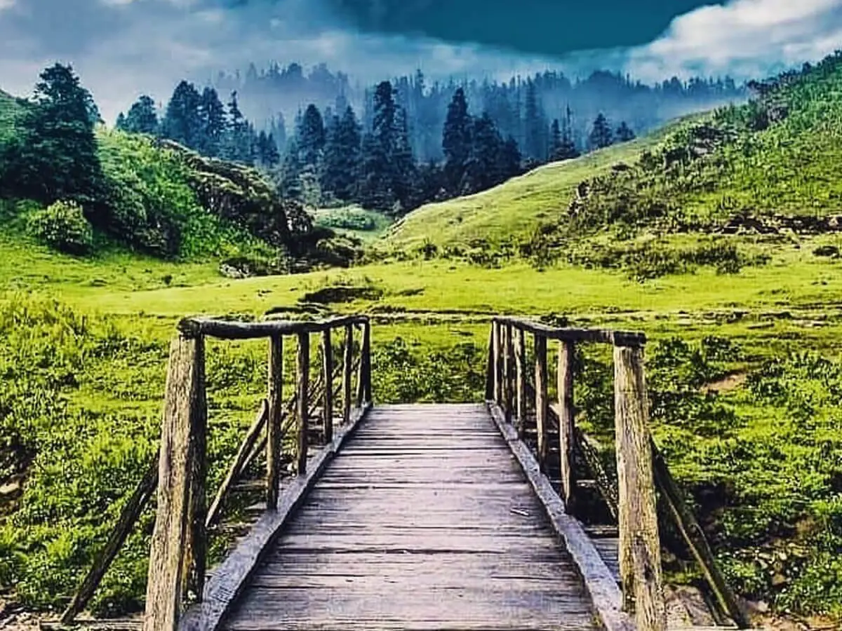 Khaptad National Park: Nature's Spiritual Sanctuary in the Heart of Far-Western Nepal